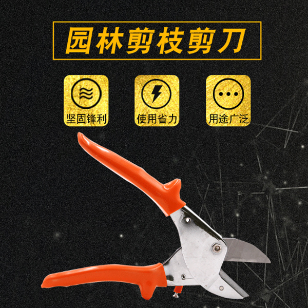 �@�ּ�֦����