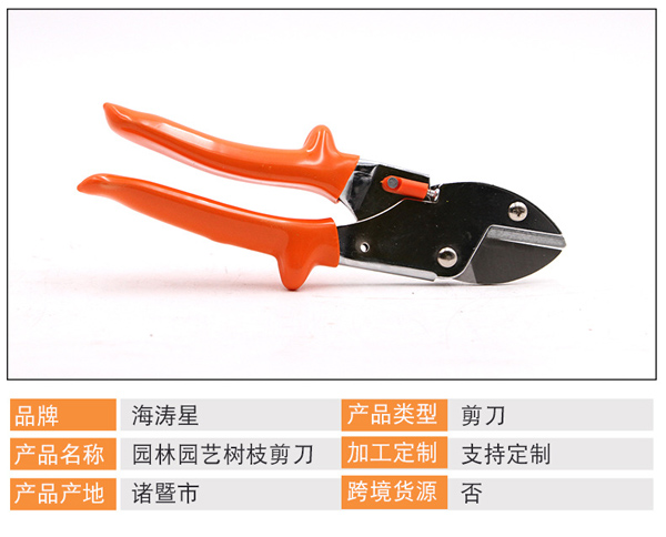 �@�ּ�֦����